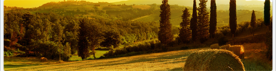 Welcome to twocottages.co.uk